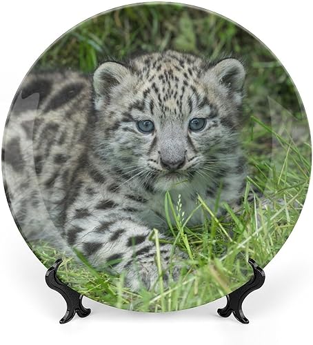 Miniatura 17 de Plato decorativo para exhibición, placa de rana, placa redonda de cerámica, platos conmemorativos con soporte, adorno de porcelana para decoración