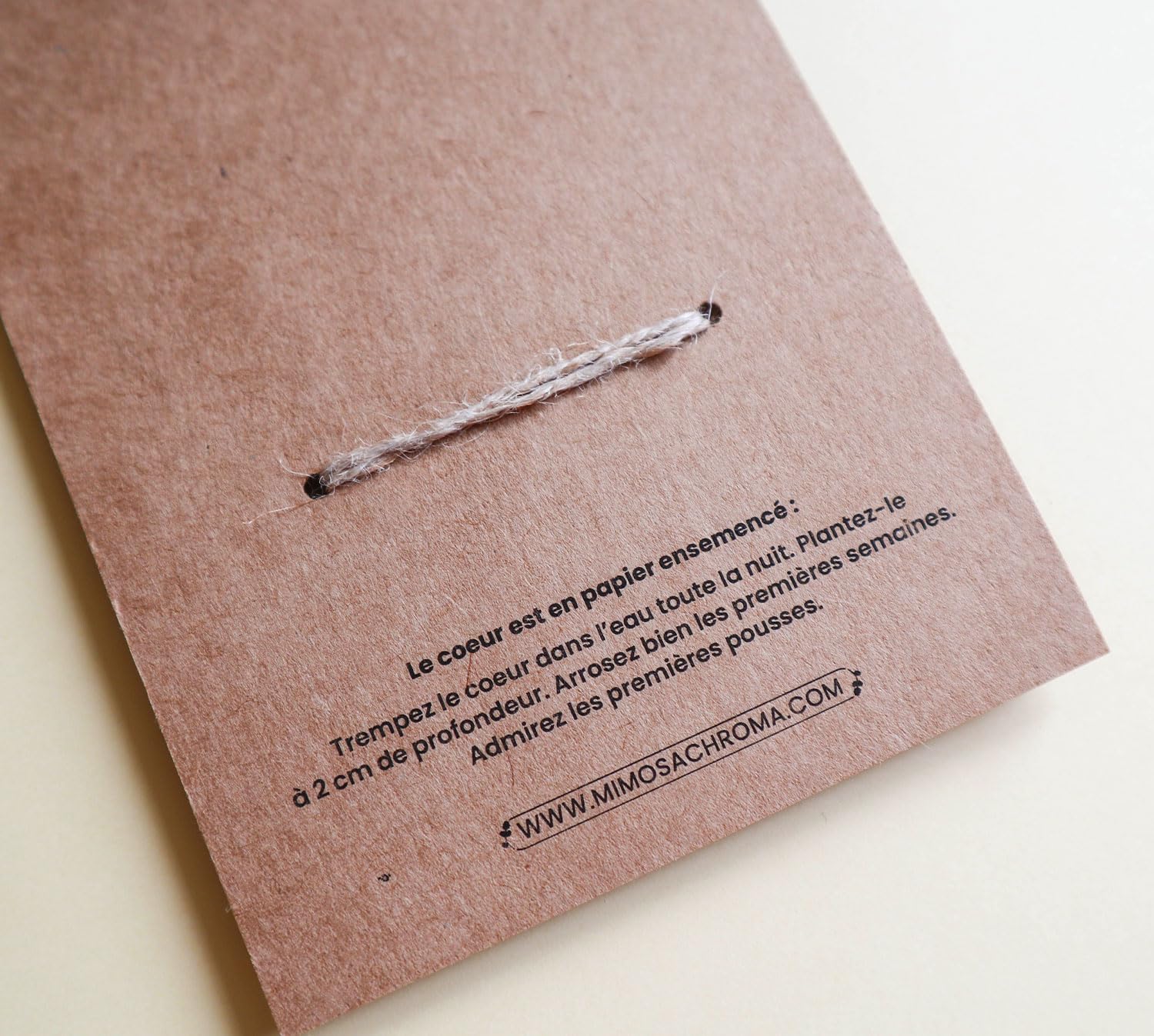 Carte cadeau nounou maîtresse ATSEM coeur à planter
