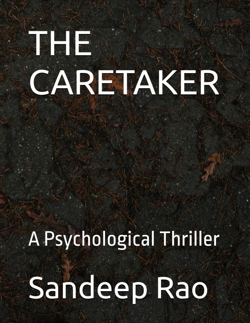 THE CARETAKER: A Psychological Thriller