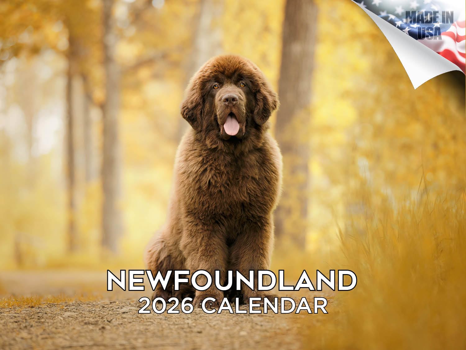 Calendario 2024 2025 de Terranova – Calendario mensual de pared de raza de perro – 12 x 18 pulgadas abierto – Papel grueso que no se corre – Regalo – Calendario académico para profesores, organización