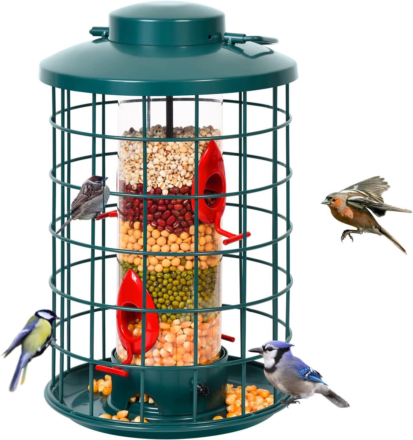 Cage Bird Feeder K?figVogelfutterspender für Wildv?Gel, MetallH?nge