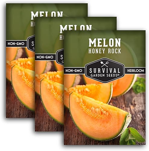 Survival Garden Seeds - 3 paquetes de semillas de melón Honey Rock con instrucciones para plantar y cultivar dulces y deliciosas frutas de melón en