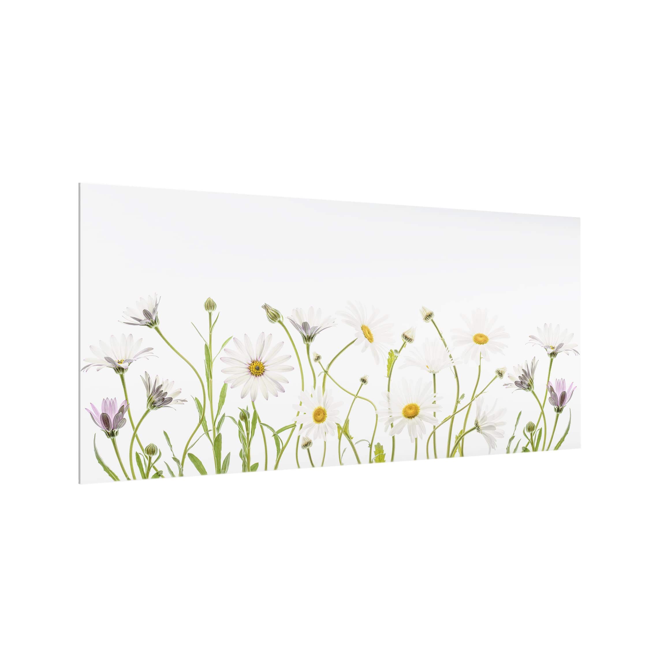 Fond de hotte avec support 4mm crédence cuisine verre blanc 1685 - 8