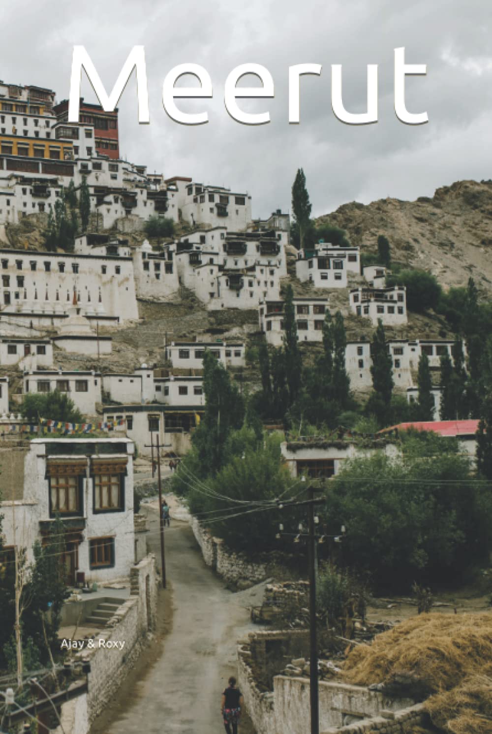 Meerut: Writing Journal For Men, Women & Kids, Journal Blank Pages, Diary & Notebook