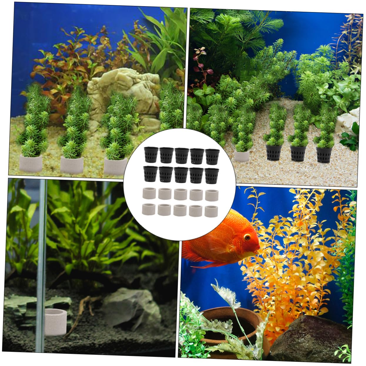 YARNOW 2 Set Coppa per piante acquatiche accessorio per piante acquatiche per acquario attrezzo per riparare le erbacce acquatiche fissatore per piante d'acquario ceramica