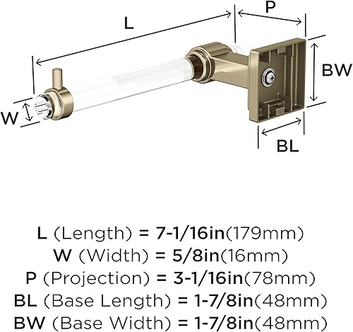 Vista 111 de Amerock BH36062CG10 - Toallero de mano Glacio de 5-7/16 pulgadas de longitud para pared de baño y cocina pequeña, accesorios de baño Transparente