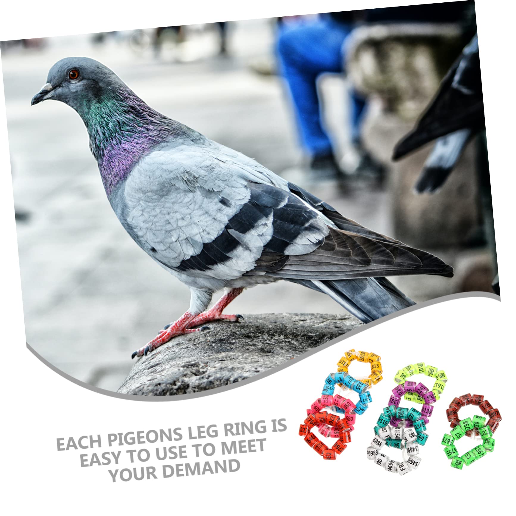 DOITOOL 400pezzi Anelli per Gambe di Piccione Fasce di Identificazione per Piccioni da Corsa Anelli Colorati per Uccelli Leggeri e Pratici Adatti per Pappagalli e Altri Volatili