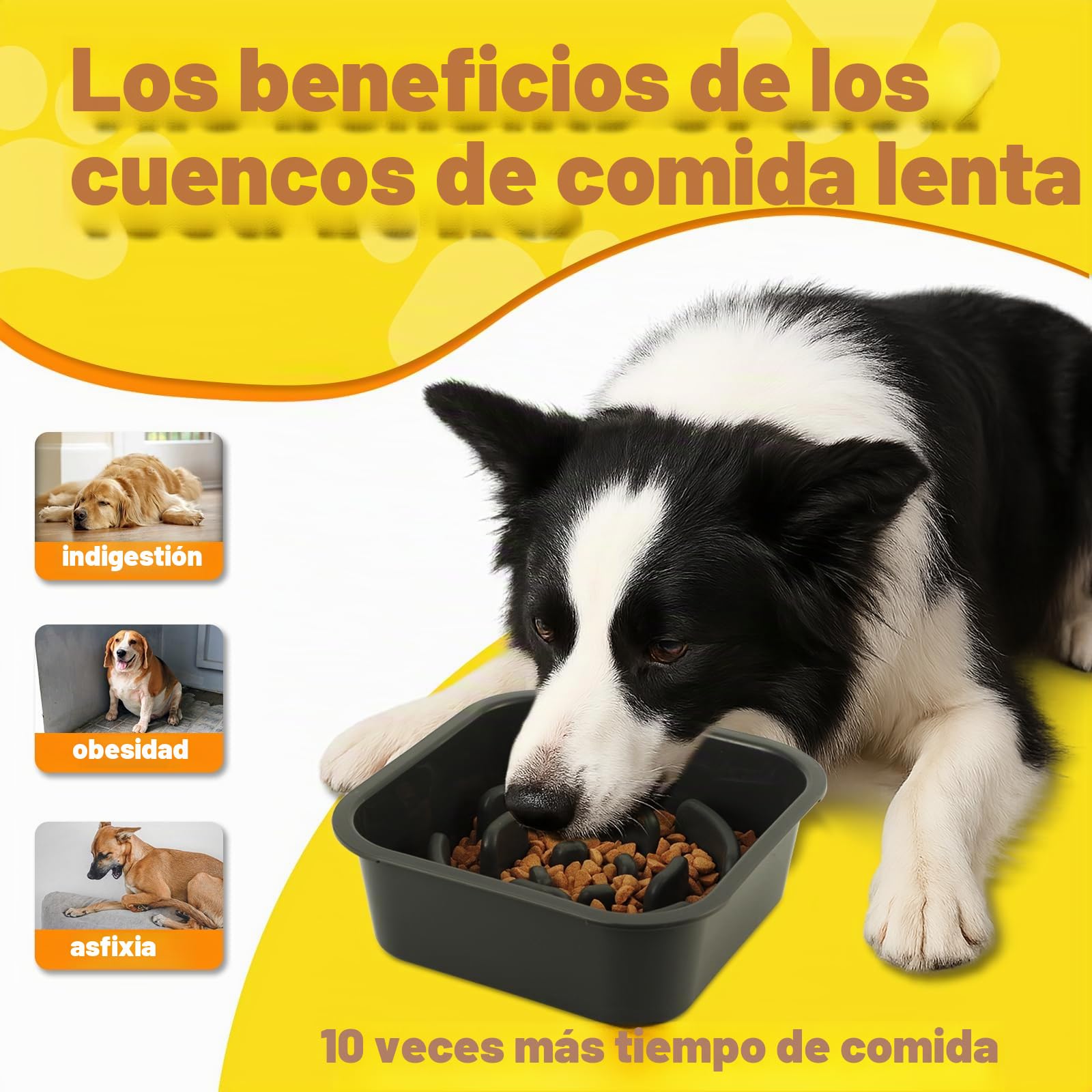 Comedero Perro Elevado y Ajustable - Acero Inoxidable 1400ml + Antiatragantamiento 1100ml + Viaje + Alfombrilla- Base Antideslizante para Perros Medianos/Grandes