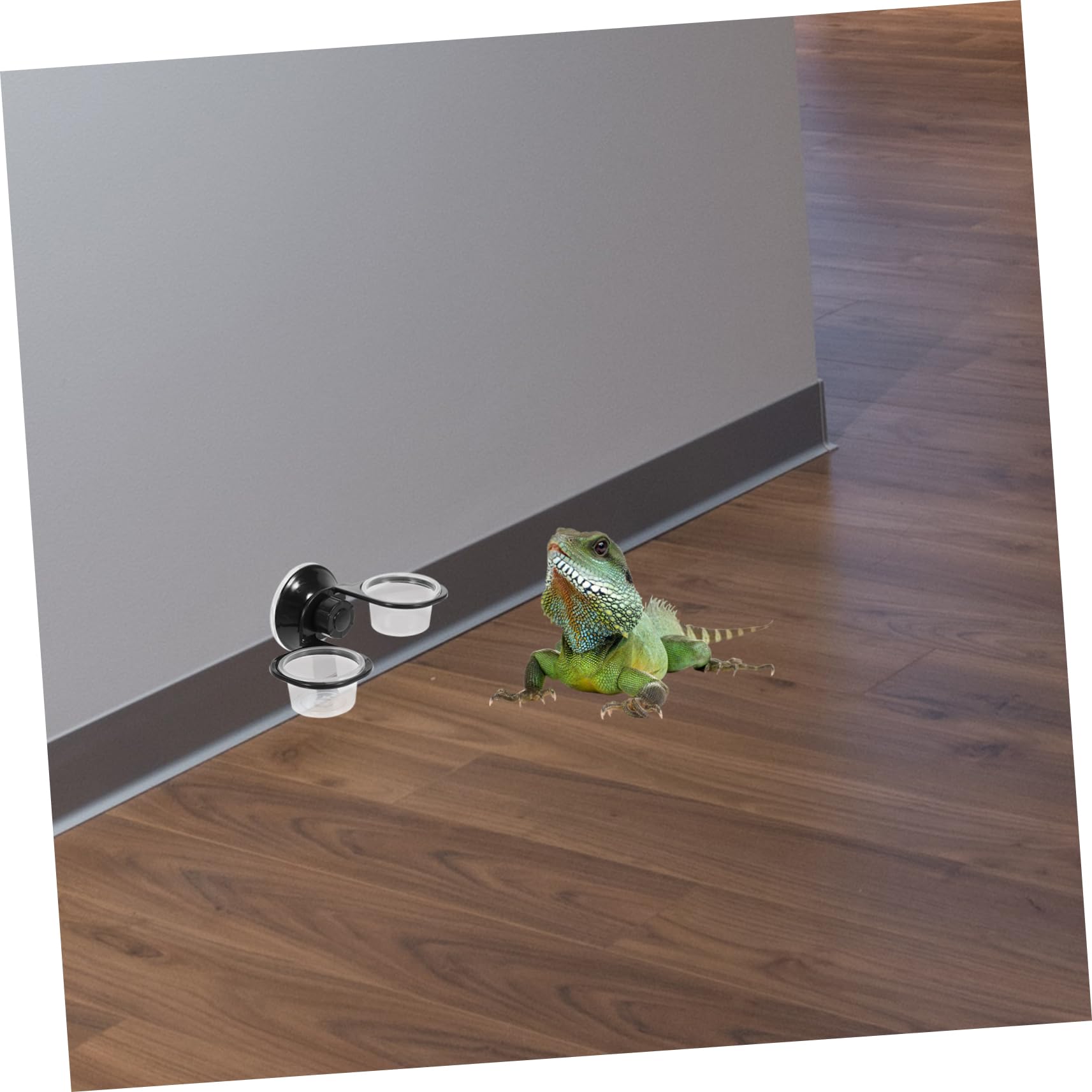 INOOMP 6pezzi Ciotole Sospese Multi- per e Accessori per Terrario Ciotole per Rettili e Facile Installare