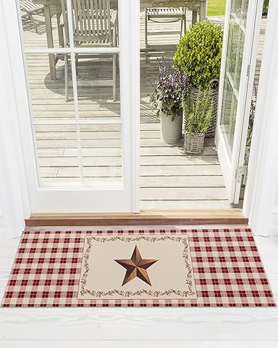 Tapete para puerta delantera, tapetes largos absorbentes para entrada, tapetes para interiores y exteriores, alfombras de entrada para interiores y