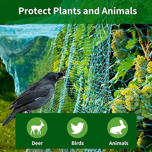 Miniatura 3 de Gsinodrs Red para pájaros para jardín, 13 x 33 pies, barrera de plagas para proteger árboles frutales y verduras contra pájaros, ciervos, ardillas,