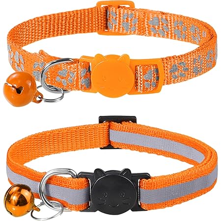 kitty convict collar