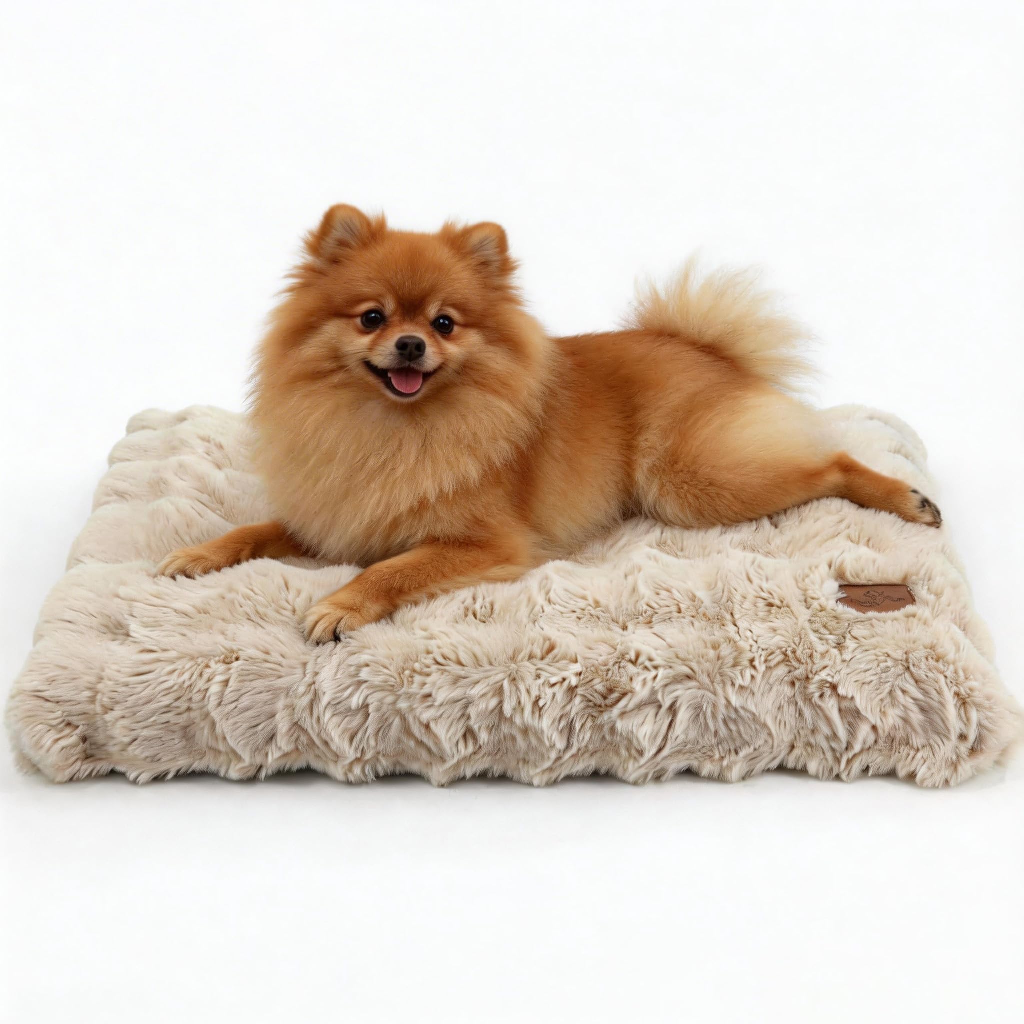 BingoPaw Cama para Perros Medianos 76x51x10cm, Cama Perro Lavable, Colchón para Perro Impermeable Funda Peluda Removible y Base Antideslizante, para Perros Medianos, Beige