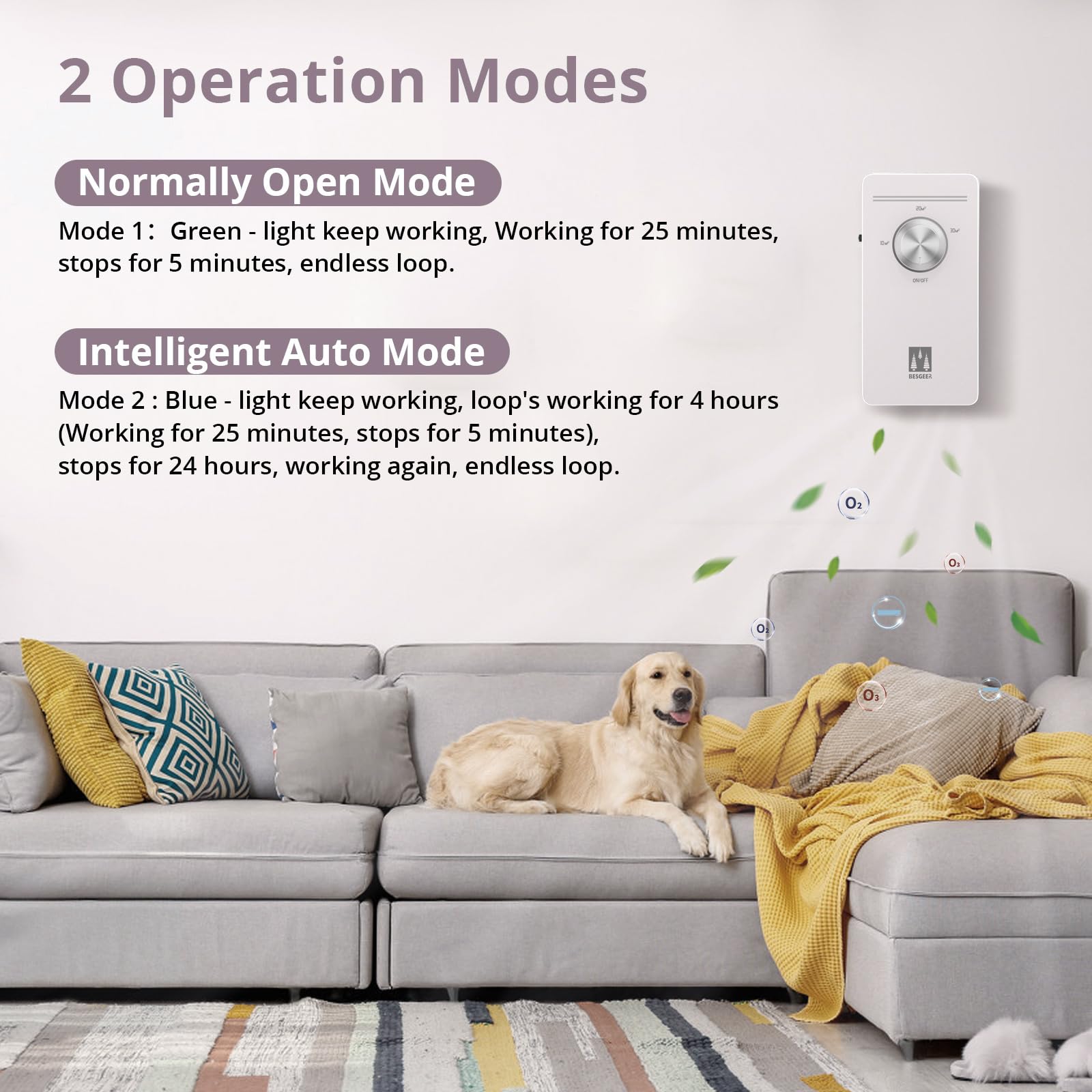 Generatore di ozono purificatore d'aria, sterilizzatore antiodore, purificatore d'aria, bagni, animali domestici, formaldeide e odore, ad alta efficienzaLingua