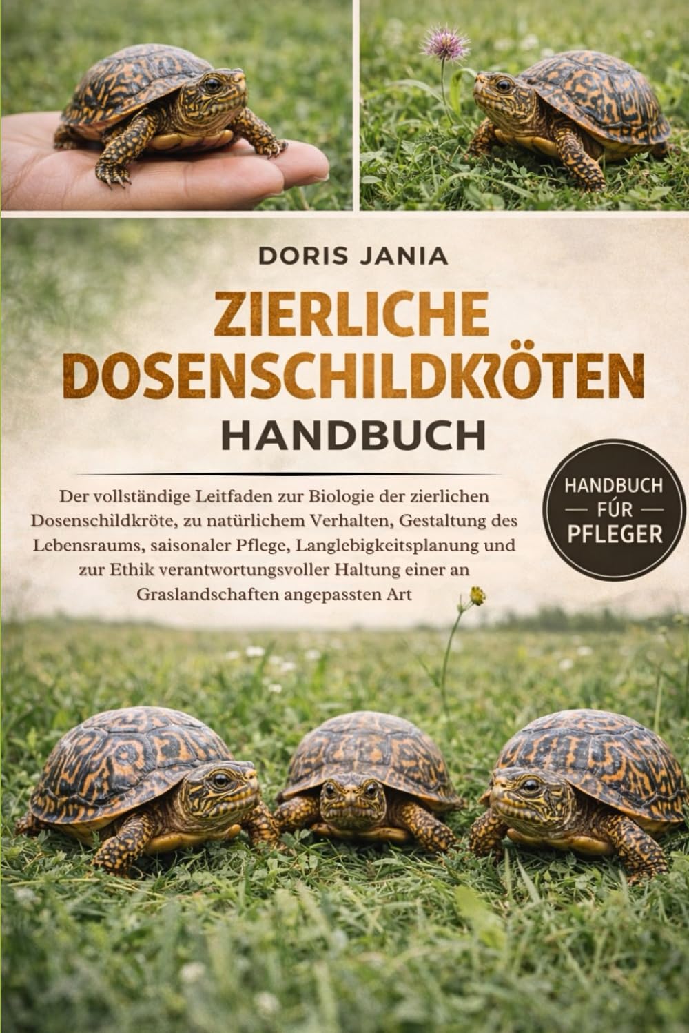 ZIERLICHE DOSENSCHILDKRÖTEN-HANDBUCH: Der vollständige Leitfaden zur Biologie der zierlichen Dosenschildkröte, zu natürlichem Verhalten, Gestaltung des Lebensraums, saisonaler Pflege