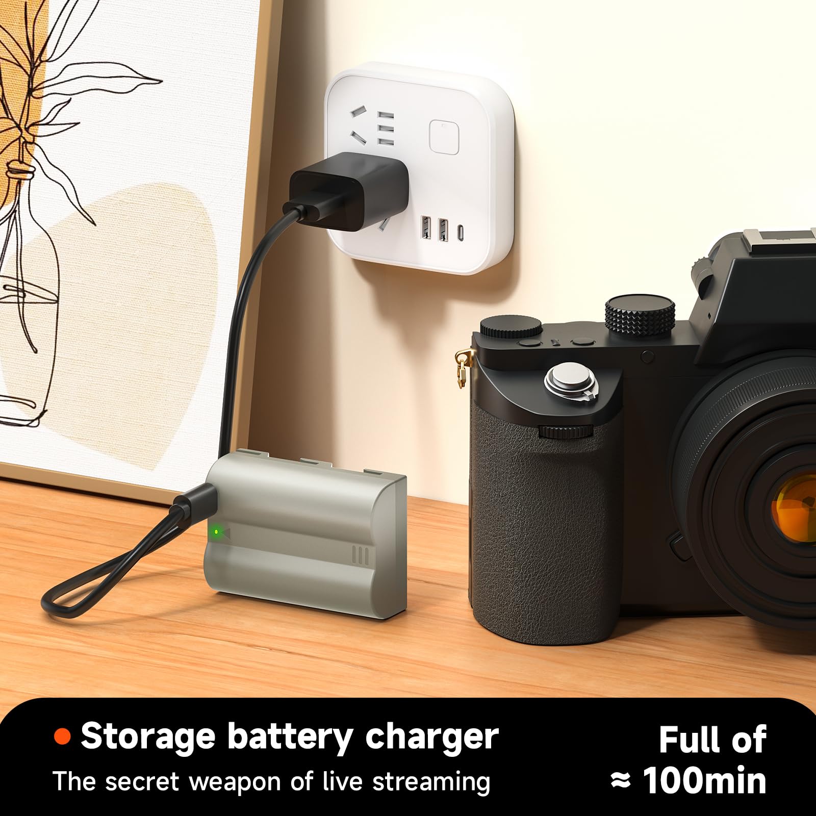 Chargeur De Batterie MH-18 Pour Appareils Photo Nikon - Compatible D90, D300, D700, D200, D80, D70, Etc. - Charge Rapide Et Sûre