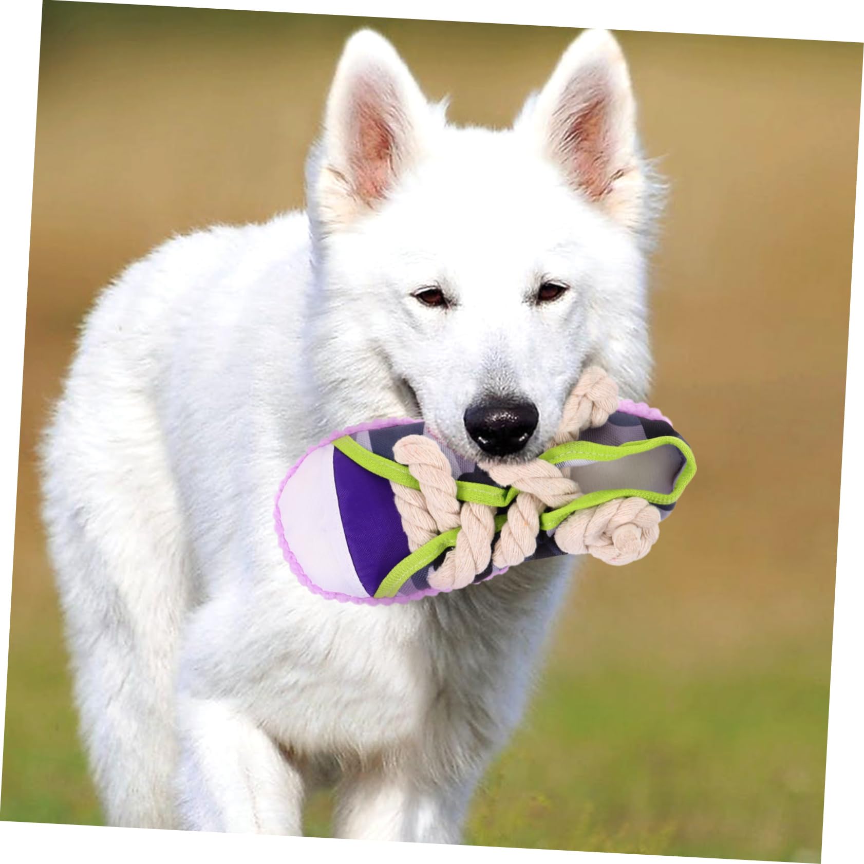 Juguete para Perros Pequeño Forma de Zapato, Masticable y Chirriante, Material Resistente y Seguro, Tamaño Compacto, Adecuado para Limpieza Dental y Entretenimiento de Cachorros