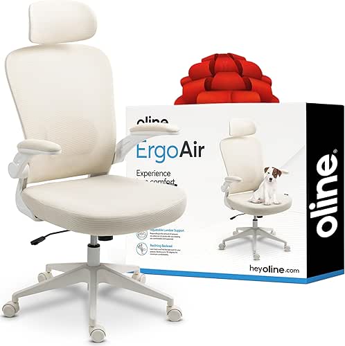 Oline ErgoAir Ergonomic Office Chair – Adjustable Lumbar Support, Flip-Up