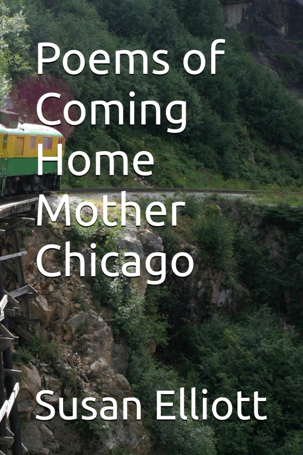 Poems of Coming Home Mother Chicago      Paperback – Large Print, September 1, 2025