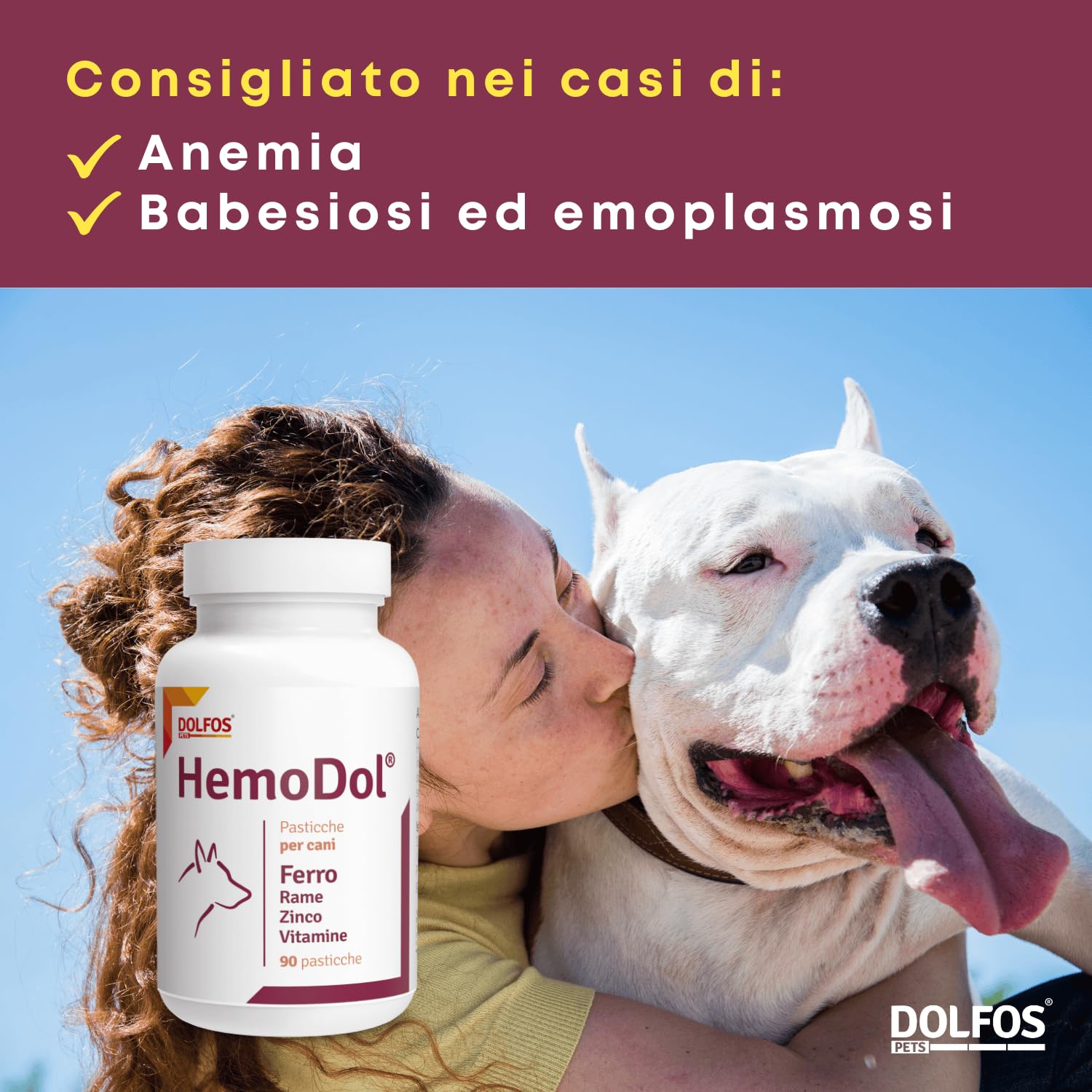 Dolfos - HemoDol Hunde Katzen Anemia Eisenmangel 90 Stück