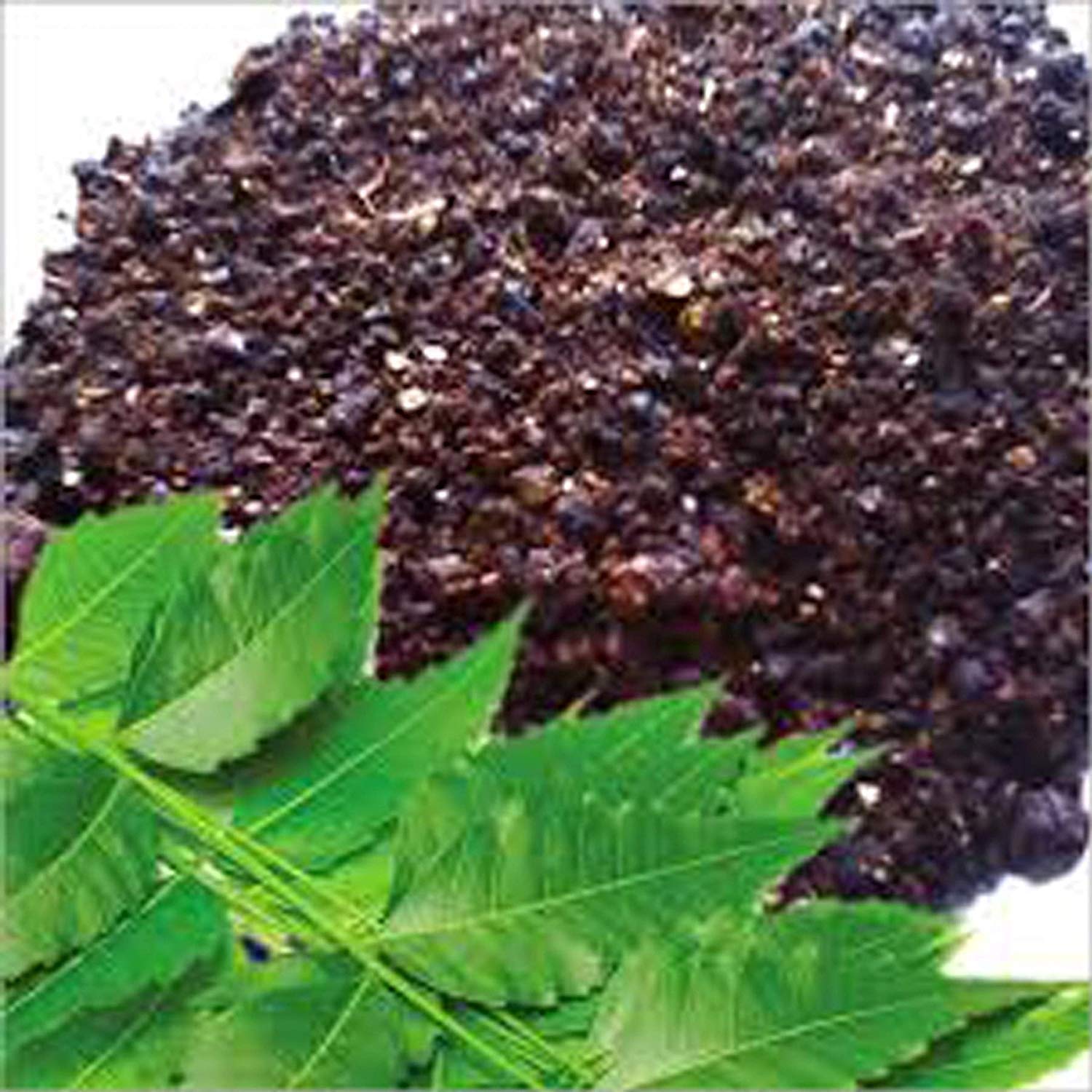 Bhajanlal Greenery Wingdong Neem Cake Powder For Plants And Home Garden Organic Fertilizer And Pest Repellent (350G) (B08GZCFZWC) Amazon Price History, Amazon Price Tracker