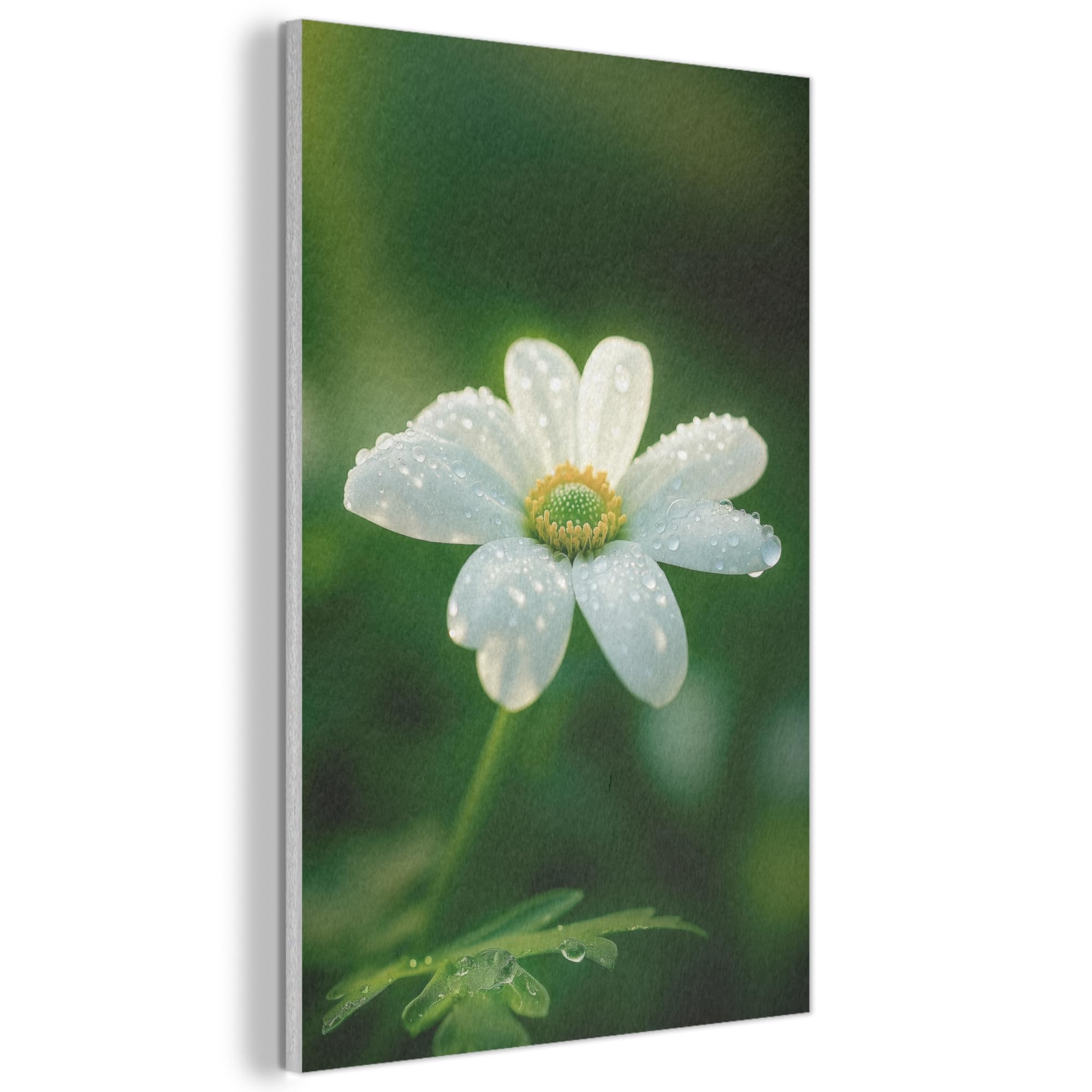 MuchoWow© Felt Panel 40x60 cm Framed Design Print Accent Interior Wallart Decoration Wall Art Flower - White - Dewdrops