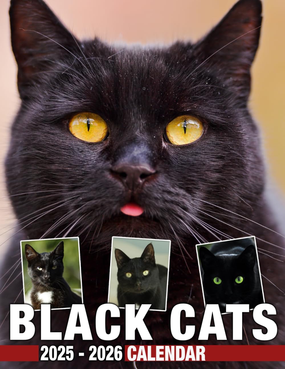 Black Cats Calendar 2025 2026 Spread Joy and Stay
