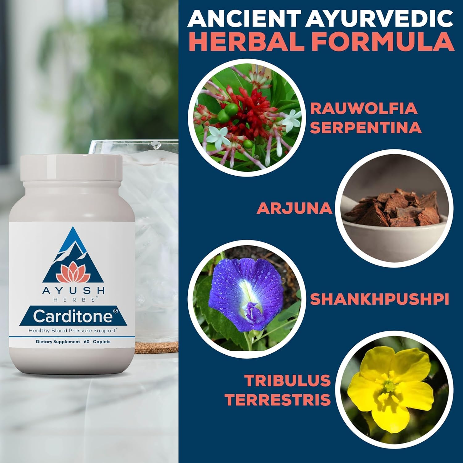 Ayush Herbs Carditone, Holistic Heart Support with Rauwolfia, 60 Servings — Amazon image 3