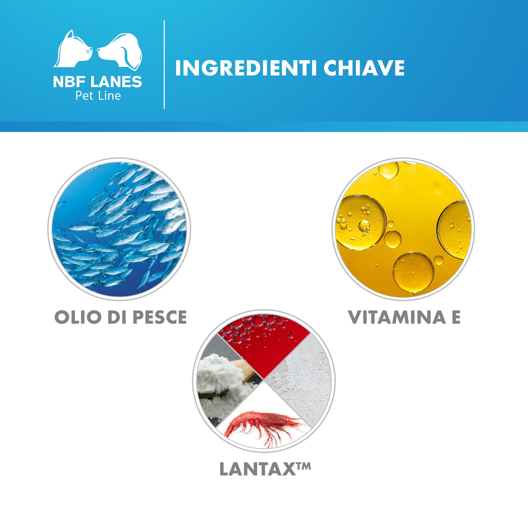 NBF Lanes | Nefrokrill Cane, 60 Perle Softgel, per la Normale Funzione Renale nei Cani di Tutte le Età