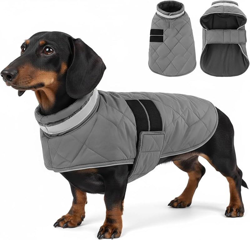 Casaco de Inverno para Cães KAMA BRIDAL com 3 Camadas, Resistente à Água e Cinza Tamanho S