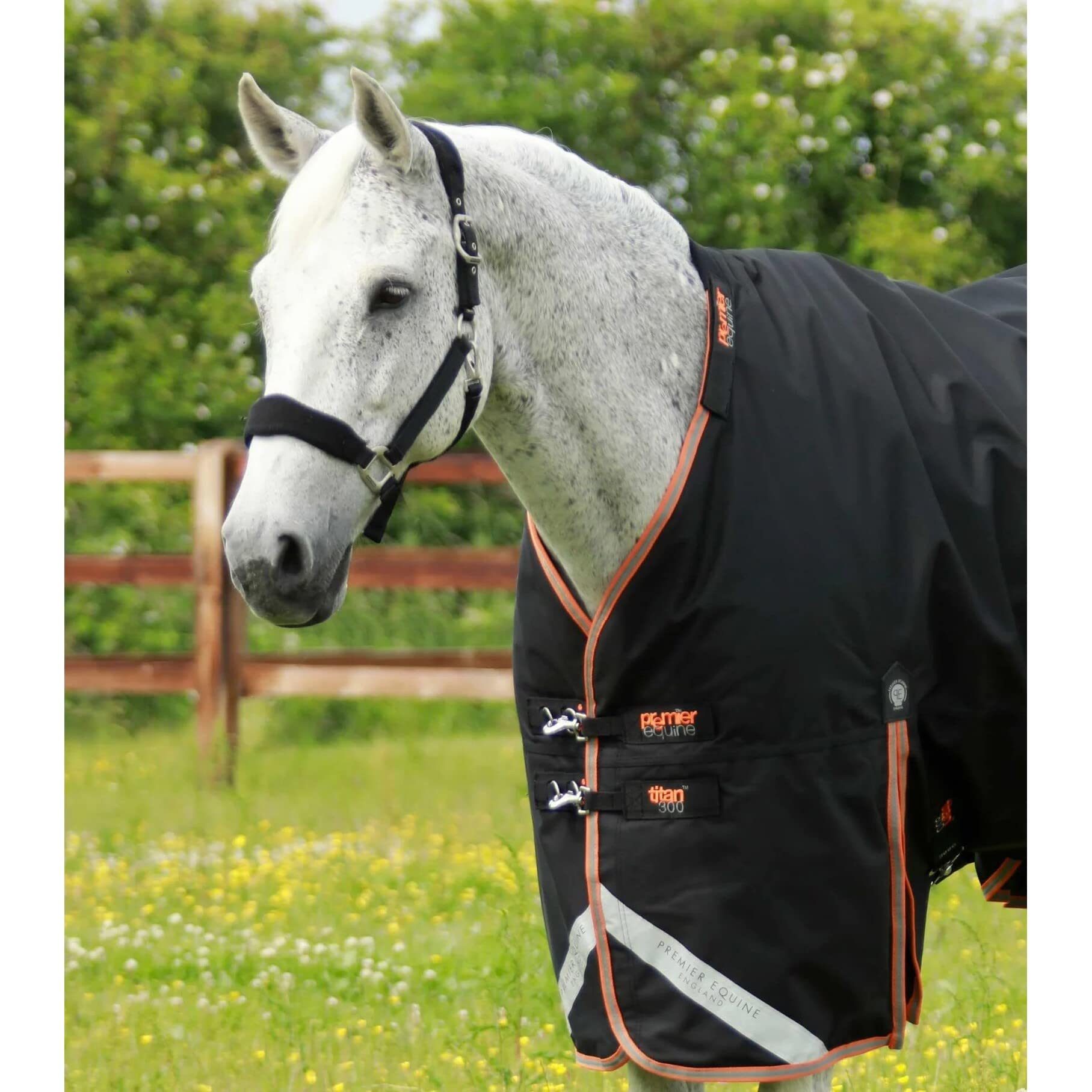 Coperta per cavalli da esterno con copricollo Premier Equine Titan 300 g