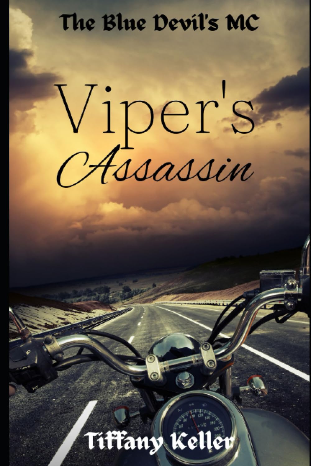 Viper's Assassin: Book 2 in The Blue Devils MC