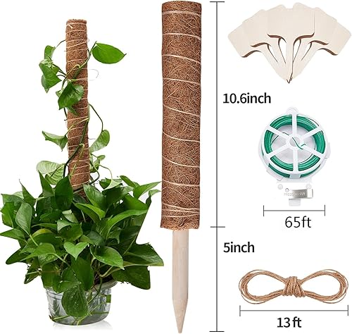 Miniatura 2 de Poste de musgo de 69 pulgadas, postes de musgo para plantas Monstera, paquete de 6 postes de fibra de coco de 15.7 pulgadas para plantas trepadoras,