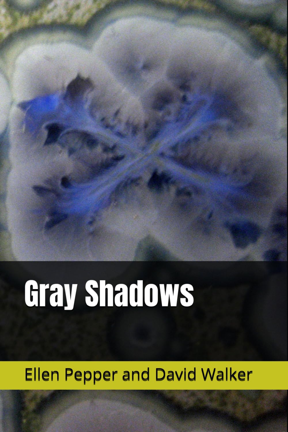 Gray Shadows