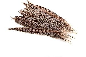 Natural Pheasant Tails ZZHXSM 15pcs Natural Color Pheasant Tail