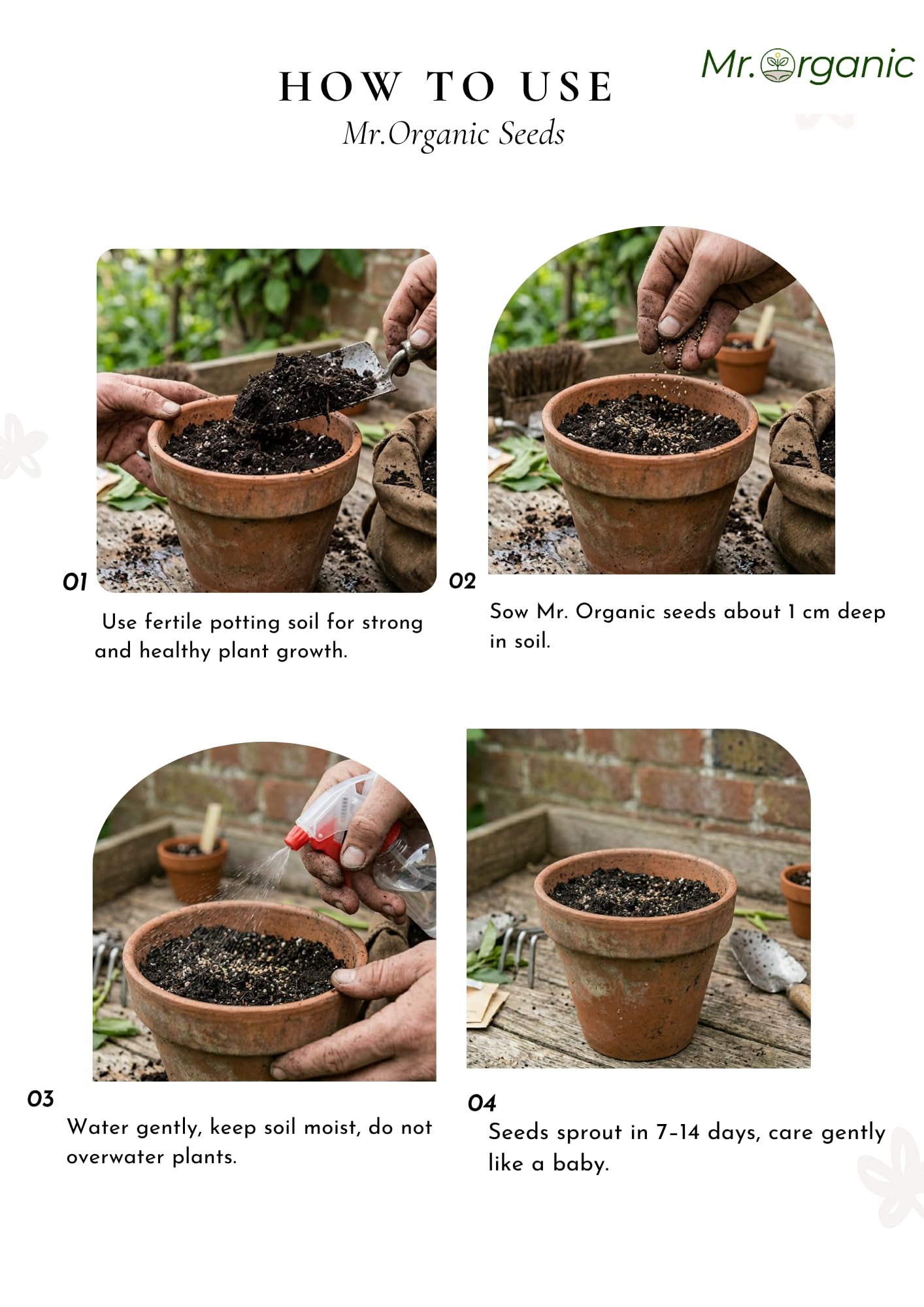 Rocket Arugula Seeds - Grow Your Own! -5 Rocket Arugula Seeds - Grow Your Own! -5