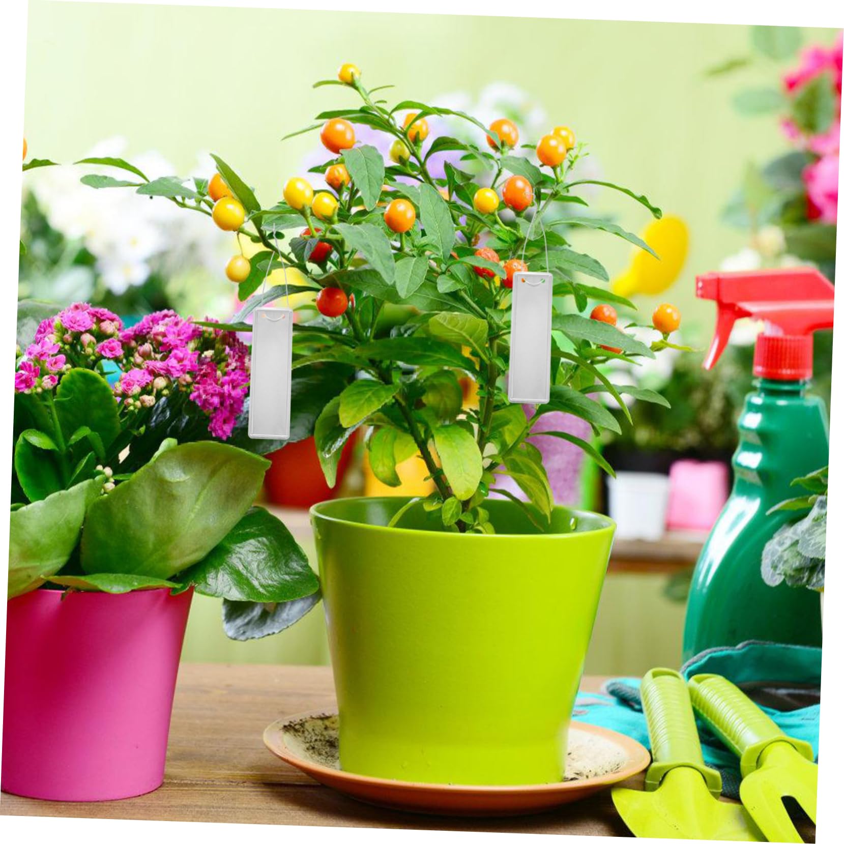 YARNOW 150pezzi Etichette Per Piante Alluminio Da Riutilizzabili e Impermeabili Per Giardinaggio e Identificazione Piante Design Moderno e Facile Da Scrivere