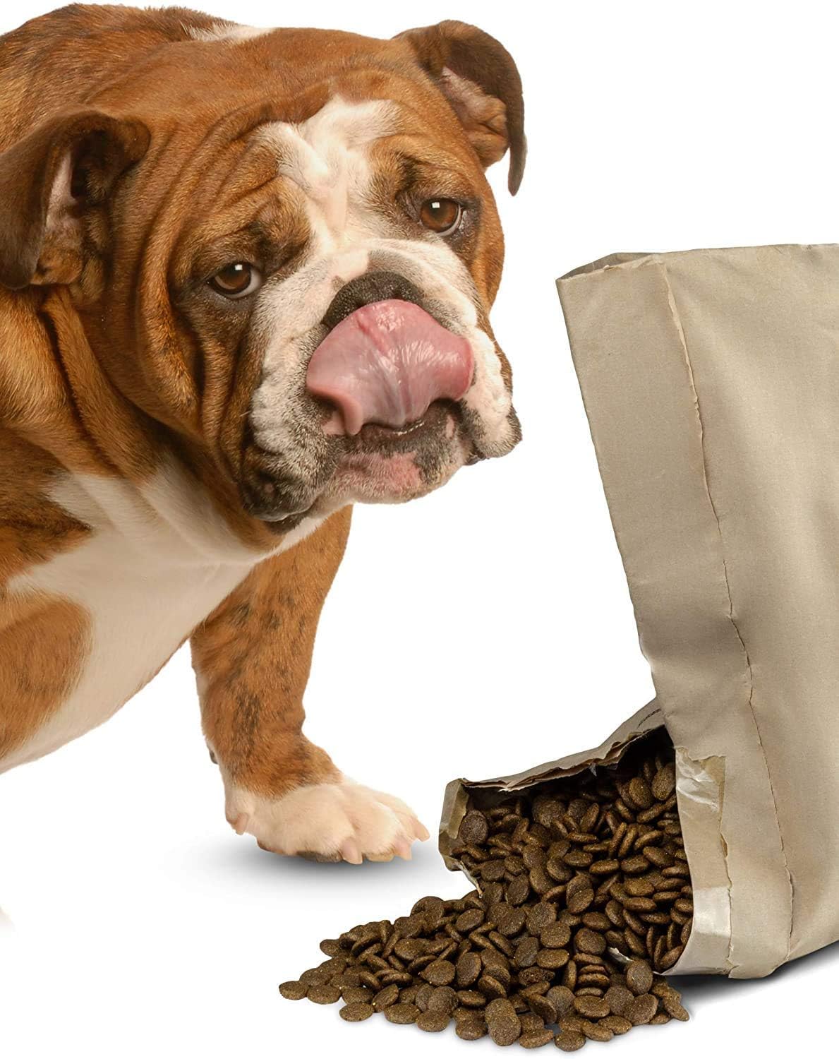 Bounce and Bella Complete Hypoallergenic Dry Dog Food - Freshly Steamed Salmon, Sweet Potato & Peas - Grain Free for Dogs with Sensitive Stomachs, 2kg