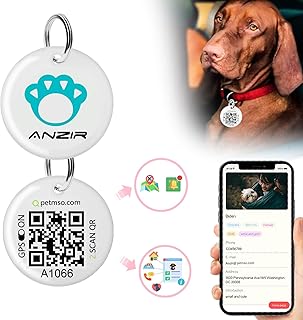 dog pet id