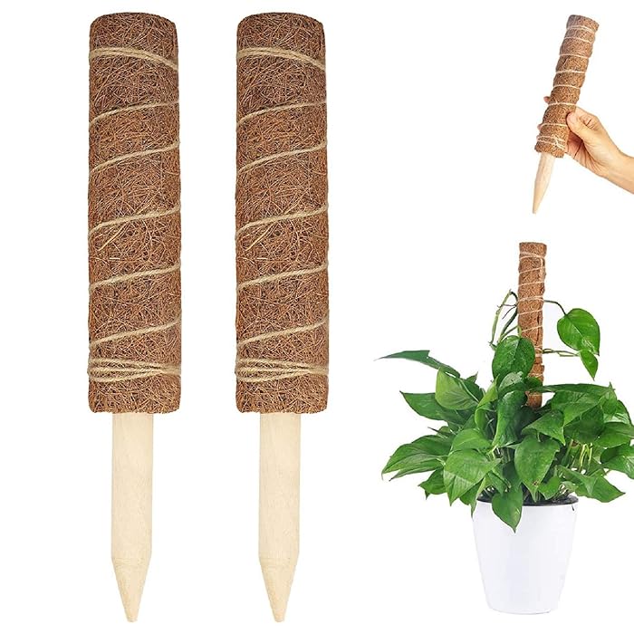 Buy UPMCT Moss Pole Plant Support Extension, 26.4 Inches Extendable