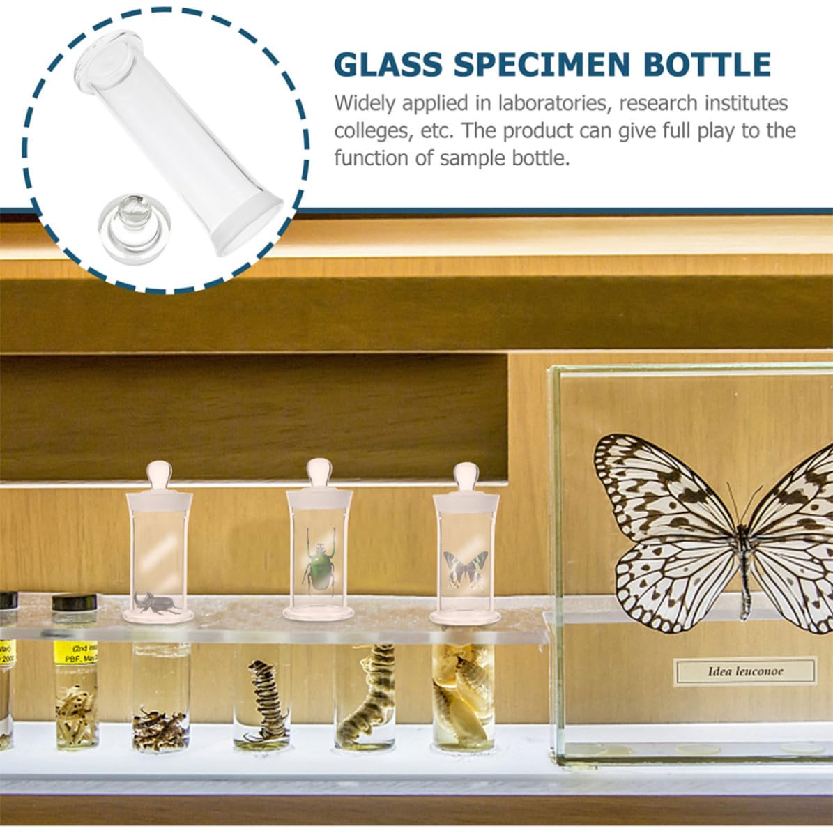 ifundom 2 Piezas Botella y Sellado Hermético de Vidrio de Borosilicato Superficie Lisa Resistente a Altas Temperaturas y Almacenamiento Seguro para Muestras de Laboratorio para Uso