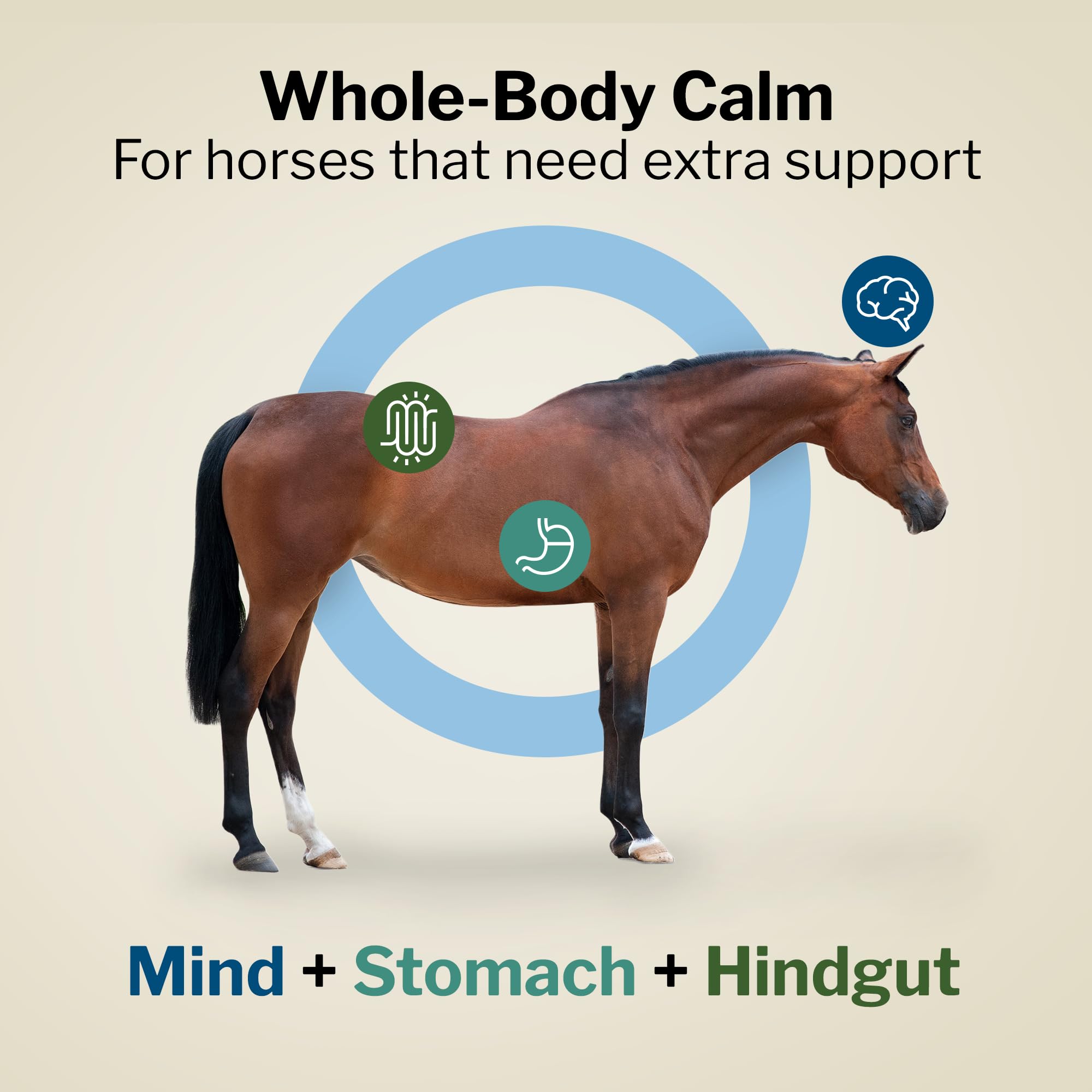 Formula 707 Support Pro Daily Packs for Horses - 28 Day Supply - Calming, Ulcer Support, Hindgut Health, Focus & Stress Relief - image 2