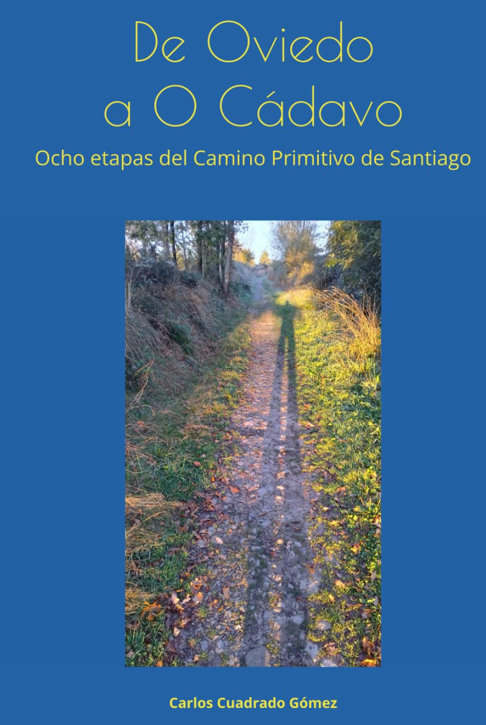 De Oviedo a O Cádavo: Ocho etapas del Camino Primitivo de Santiago