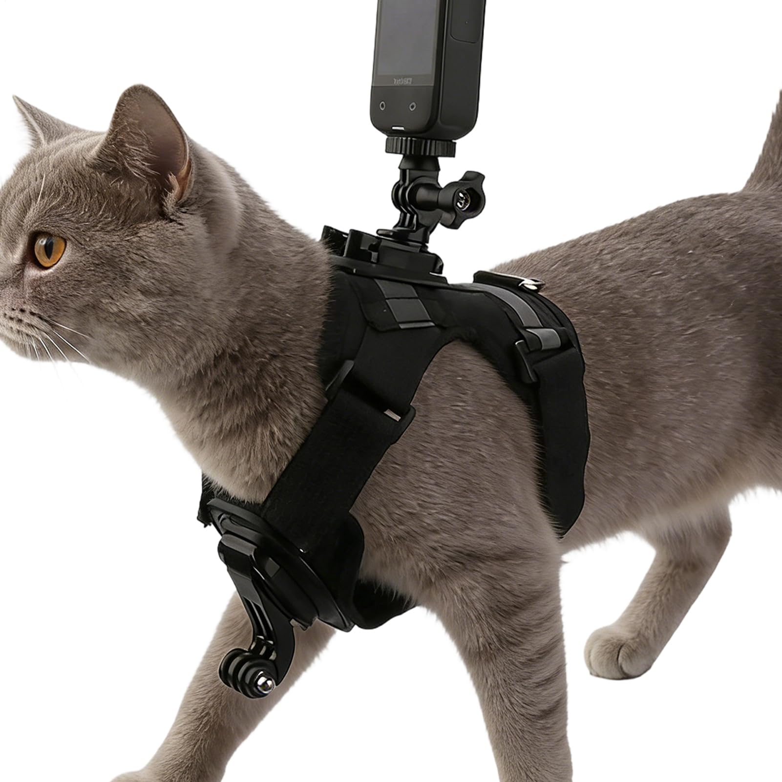 Arnés anti fugas para gatos ajustable ligero de alta resistencia