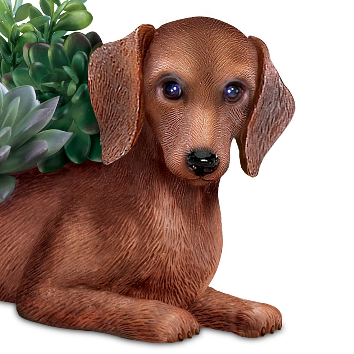 The Bradford Exchange Paw Prints Plant Everlasting Love Natural-Looking Succulents Dachshund Table Centerpiece