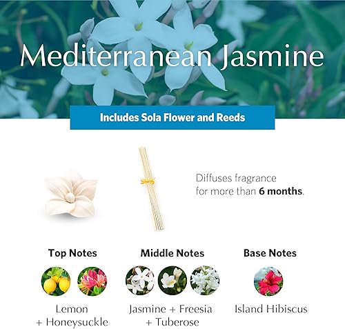 Miniatura 3 de AGRARIA Difusor perfumado de jazmín mediterráneo PetiteEssence, 1.7 onzas con cañas y una flor