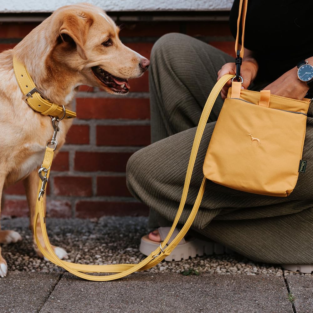 HUNTER Amalfi Dog Lead Chocolate Brown Vegan Faux Leather Nappa Look with Hand Strap Soft Easy Care Brilliant Colour Made in Germany Size: 20/100 - Image 3