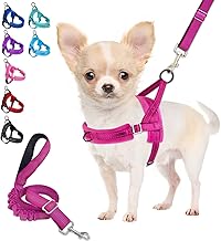 Small Dog Harness & Lead, Heavy Duty Soft Padded Reflective Adjustable Puppy Harness Anti-Twist Pet Lead Quick Fit for Small Dog Cat Animal (Fuchsia, XXS)