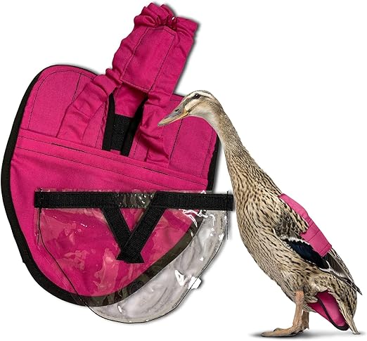 Hen Holster Wrap-Around Runner Duck Diaper with Fixed-Tab and Removable Liner, Pink