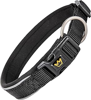 Rudelkönig Hundehalsband Paola - Verstellbares Hunde Halsband aus Nylon - Reflektierendes Hundehalsband mittelgroße Hunde in schwarz product image